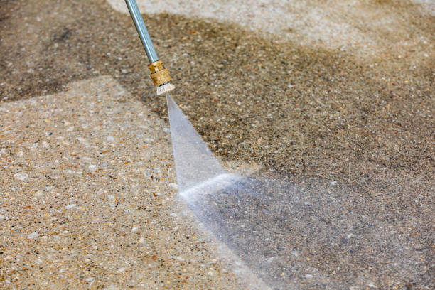 Best Pool Deck Cleaning  in Chesilhurst, NJ